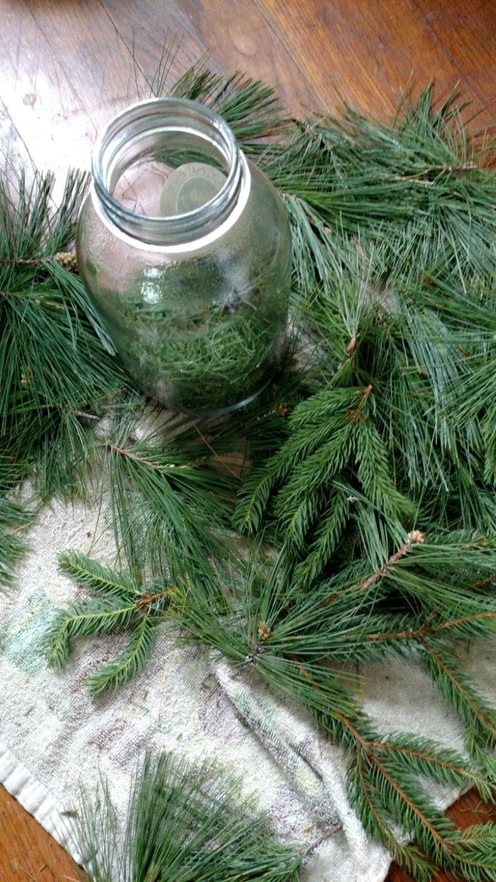 pine needles in a jar